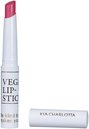 Vegan Lip Stick Do it Anyway